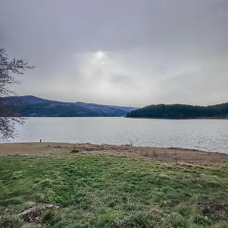 Abete Bianco - Lorica *