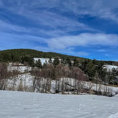 Abete Bianco - Lorica