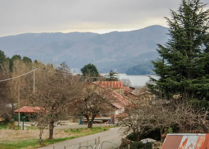 Abete Bianco - Lorica *