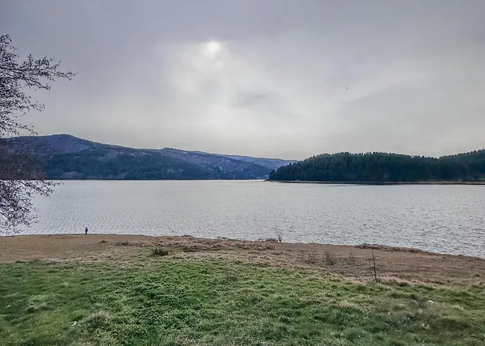 Abete Bianco - Lorica *