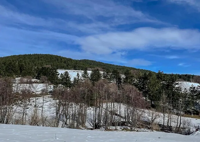 Abete Bianco - Lorica