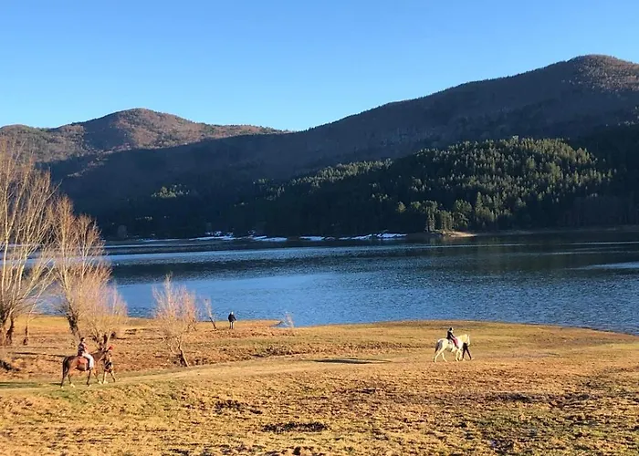 Abete Bianco - Lorica *